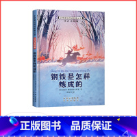 钢铁是怎样炼成的 [正版]满29元小学基础阅读配套丛书注音美绘版——钢铁是怎样炼成的(单册塑封)