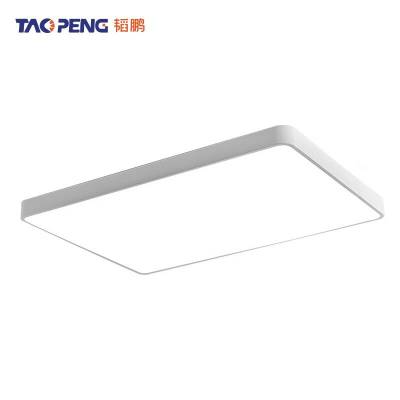 韬鹏 吸顶灯 TP-FYF 65CM*43CM 48W 个