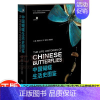 [正版] 中国蝴蝶生活史图鉴 264种国内蝴蝶的生活史及幼期特征 蝴蝶的分类生物学等基础知识 蝴蝶生活史图鉴大全书籍
