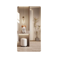 镜子亚克力软镜子60*100cm 圆角