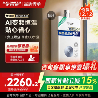 AO史密斯佳尼特13升燃气热水器佳尼特 不锈钢换热器8年包换 精控恒温 抗风防冻JSQ26-TC1