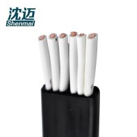 沈迈 铜芯扁电缆 YFFB-6*10mm² /米