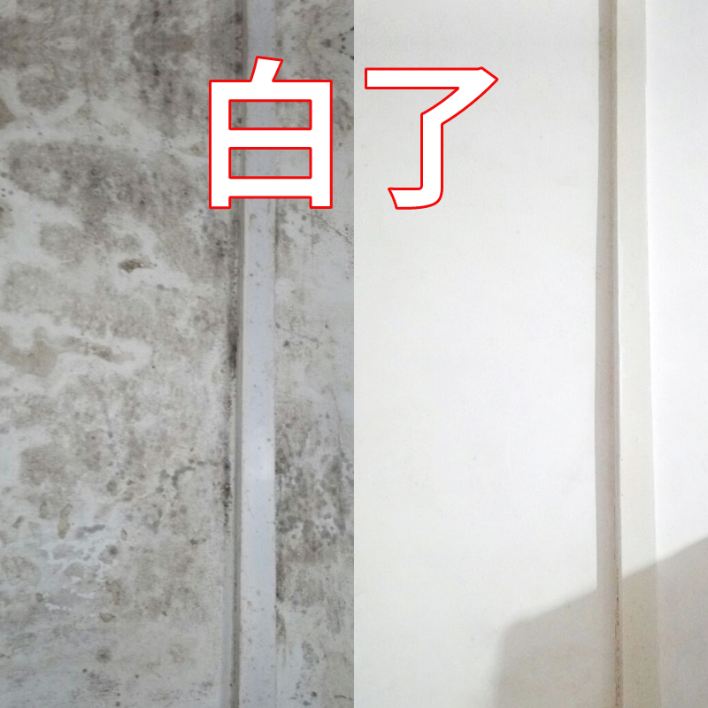 2瓶装除霉剂墙体墙面 酶立净家具防发霉墙壁除霉去霉斑清除剂