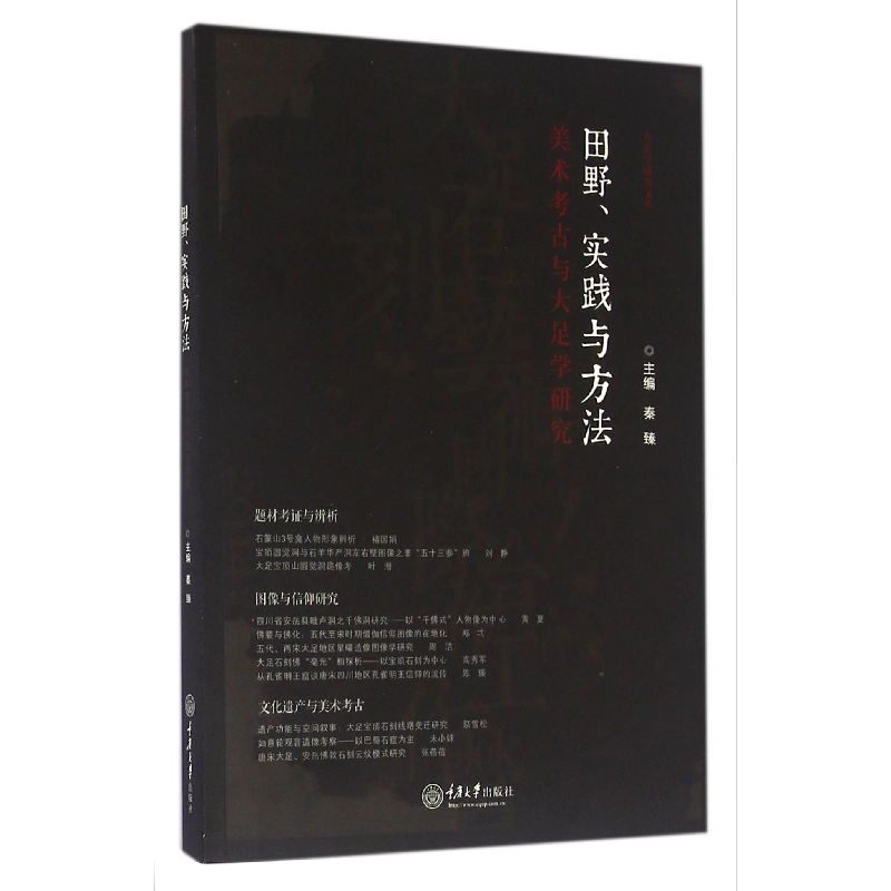 音像田野实践与方(美考古与大足学研究)/大足学研究文丛编者:秦臻