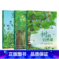 3册套装 [正版]浪花朵朵 草/树/森林的自然课 3册套装任选 6岁以上少儿科普图画书 植物百科树木科普 童书