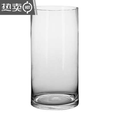 特大号花瓶简约玻璃透明落地摆件客厅餐桌水竹富贵竹干花插花饰品FENGHOU口径12高20cm透明色-