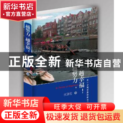 正版 越努力,越幸福!:四十岁遇到最好的自己 生凌君 作家出版社