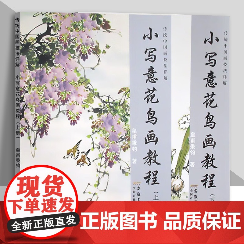小写意花鸟画教程上下册全2本 传统中国水墨画技法详解 成人初学者国画牡丹花鸟画自学入门零基础教程书美术绘画安徽美术