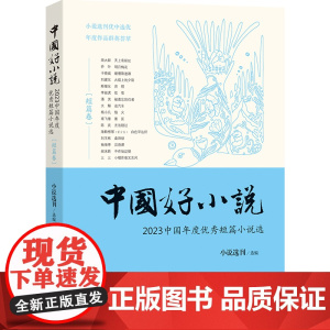 中国好小说·短篇卷—— 2023中国年度优秀短篇小说选