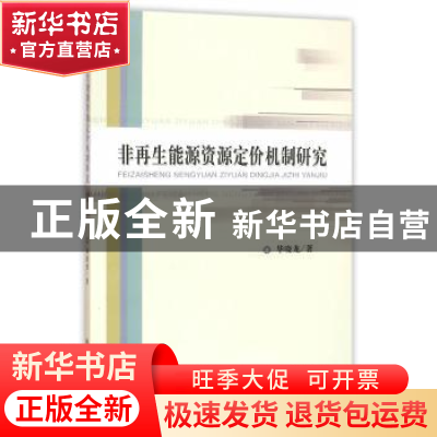 正版 非再生能源资源定价机制研究 华晓龙 著 经济科学出版社 97