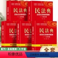 [全5册]民法典百姓生活案例图解 [正版]民法典百姓生活案例图解全套5册总则编物权编侵权责任继承编合同编 典型案例解析法