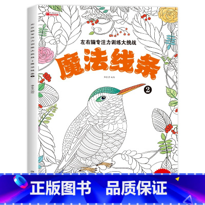 左右脑专注力训练大挑战(魔法线条2) [正版]专注力训练魔法 迷宫线条左右脑思维专注力进阶训练神器3-6-7-8岁12岁