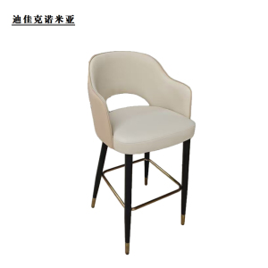 迪佳克诺米亚 时尚办公椅 高脚椅 ZJ-BGY01 个