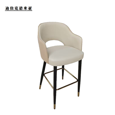 迪佳克诺米亚 时尚办公椅 高脚椅 ZJ-BGY01 个