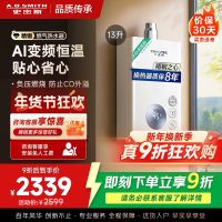 AO史密斯佳尼特13升燃气热水器佳尼特 不锈钢换热器8年包换 精控恒温 抗风防冻JSQ26-TC1
