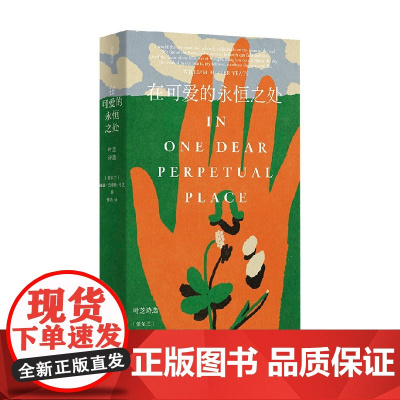 原野诗丛 在可爱的永恒之处 叶芝诗选 威廉·巴特勒·叶芝 著 诗歌词曲