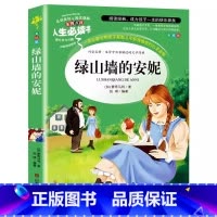 绿山墙的安妮 [正版]绿山墙的安妮原著全集原版插画版中文版彩图美绘小学生青少年三四五六年级必读文学名著名师导读带批注读后