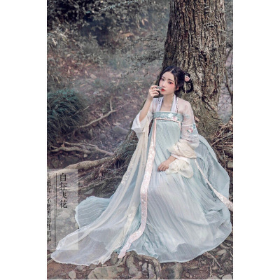 迪鲁奥（DILUAO)元朝改良华服开幕雪姬抖音女小龙女路招摇古装简约