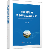 音像全球视野的节试验区发展研究常近时