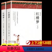 红楼梦(上下)[982页] [正版]世界名著全套原著 完整版无删减初中生高中生阅读课外书 朝花夕拾 西游记 昆虫记 艾青