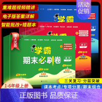 英语-译林版 三年级下 [正版]经纶学霸期末必刷卷一二年级三四五六年级下册语文数学英语人教北师江苏教版 小学上册各地期末