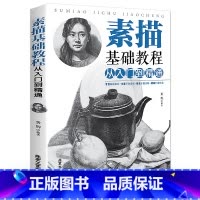 [正版]素描基础教程从入门到精通 绘画素描教程书入门自学零基础书籍 图文并茂学画画的基础素描几何体 美术教程 书籍