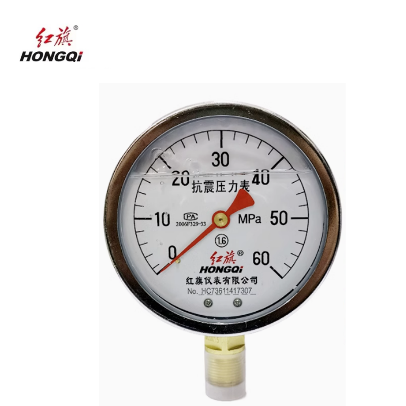 红旗 耐震压力表定制检测款 YTN100 0-60MPA 块