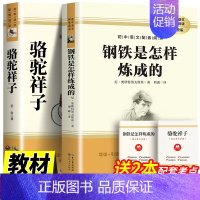 七年级下]骆驼祥子+钢铁是怎样炼成的 [正版]七年级上下册必读书原著西游记+朝花夕拾鲁迅骆驼祥子海底两万里完整版初中生课
