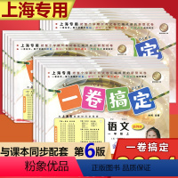 九年级全一册(语文+数学+英语+物理+化学) 小学升初中 [正版]2024上海一卷搞定一二三四五六七八九年级上册下册语文
