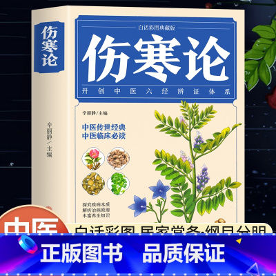 伤寒论 [正版]伤寒论张仲景原著含原文注释译文中草药彩图大全书中医临床理论知识百科全书杂病论医药医学类书籍入门零基础中医