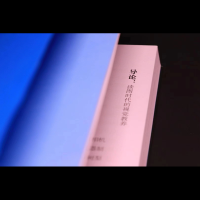 音像见与不见 读图时代的视觉教养王新