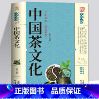 [正版]35元任选5本中国茶文化 茶书籍茶文化入门茶书籍茶文化饮茶方法器具茶膳茶食茶肴茶的保健食疗茶礼仪 识茶泡茶品茶