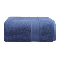 千丰QFMB11 74*34cm 毛巾抹布两用 (计价单位:条) 蓝色