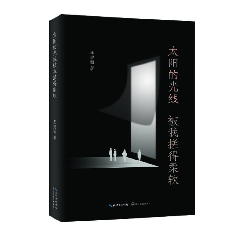 正版新书]太阳的光线被我搓得柔软王建新9787570212538