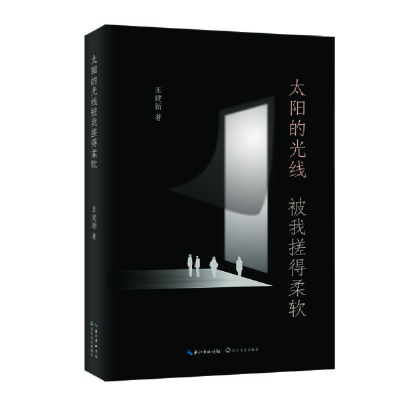 正版新书]太阳的光线被我搓得柔软王建新9787570212538