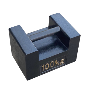 建举 铸铁砝码 100kg 个