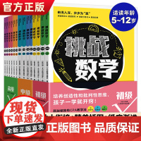 正版 挑战数学初级中级高级全套14册幼小衔接儿童启蒙举一反三思维训练你好这就是数学新加坡幼儿益智游戏专注力智力开发全脑教