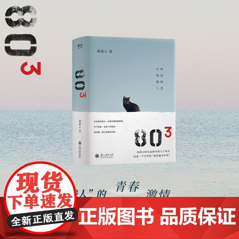 正版 803 解码三线建设的精神史诗 以 “803 工程” 为引 重现支内青年热血岁月 唤醒厂矿子弟记忆 三线八零后记忆