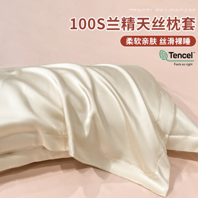 天丝枕套一对装家用真丝枕头套纯色高级感单人学生宿舍枕芯内胆套