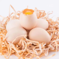 芮瑞正宗山林散养谷饲喂养虫草鸡蛋 10枚装 商品不支持无理由退款 不支持拒收