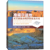 音像准噶尔盆地页岩油流动规律探索及应用石国新,向宝力,王子强