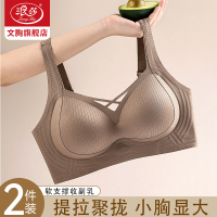 浪莎提拉内衣女士小胸显大聚拢防下垂收副乳2025新款品牌女文胸罩