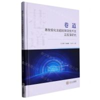 [N]巷道激发极化法超前探测技术及正反演研究(精)-9787548752141