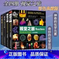 [正版]全套4册出版社视觉之旅奇妙的化学反应 / 神奇的化学元素/ 化学世界的分子奥秘 / 神奇的化学元素2 儿童趣味