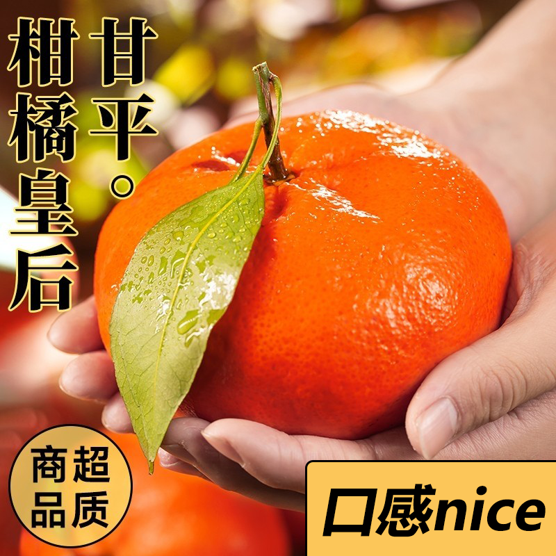[西沛生鲜]四川甘平皇后柑橘 净重5斤 大果 单果80mm+ 产地精选 甜美多汁 坏果包赔