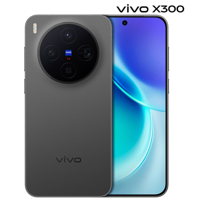 vivo X300 12GB+512GB 纯粹黑 6040mAh电池 天玑9500 蔡司2亿主摄 持久流畅 拍照 AI 5G手机
