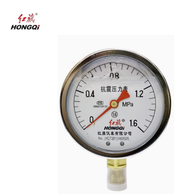 红旗 耐震压力表定制检测款 YTN100 0-1.6MPA 块