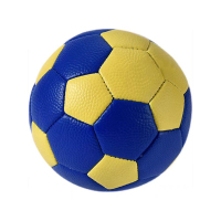 基本运动能力+手球+跳绳