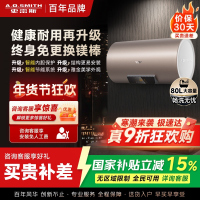 史密斯80升电热水器 国家补贴 专利免更换镁棒 金圭内胆 速热节能 CEWH-80ED3 一级能效