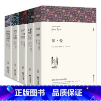 傲慢与偏见+堂吉诃德+红与黑+呼啸山庄+简爱 [正版]全译本无删减 红与黑书原版全集 司汤达原著 经典世界文学名著 外